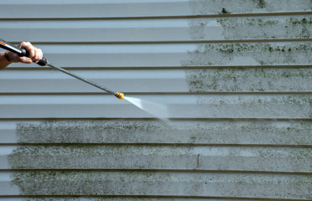 Best House Exterior Washing  in Untain View, MO